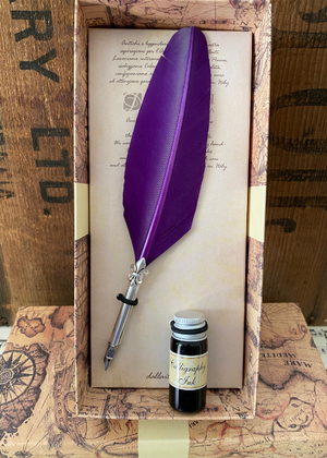 Calligraphy Pen - Purple