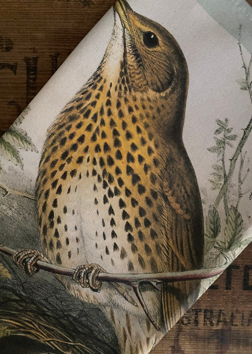 Tea Towel - Thrush