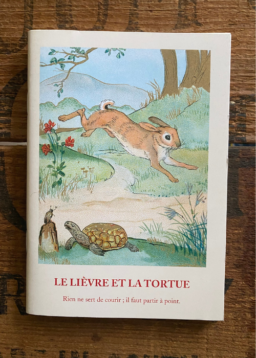 Notebook - Hare And Tortoise Fable Design