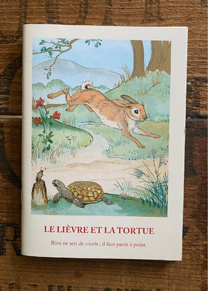 Notebook - Hare And Tortoise Fable Design