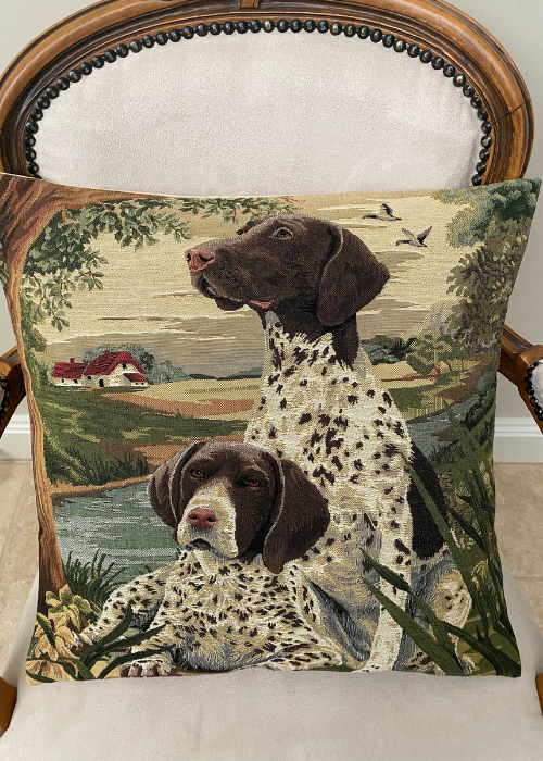Cushion - Two Pointers