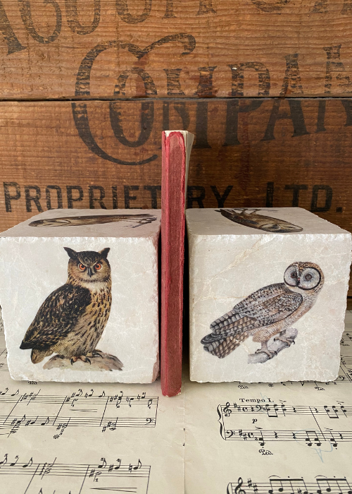 Bookends - Owls