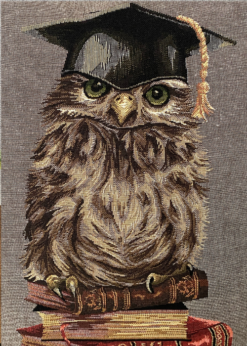 Cushion - Owl With Books