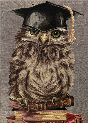 Cushion - Owl With Books