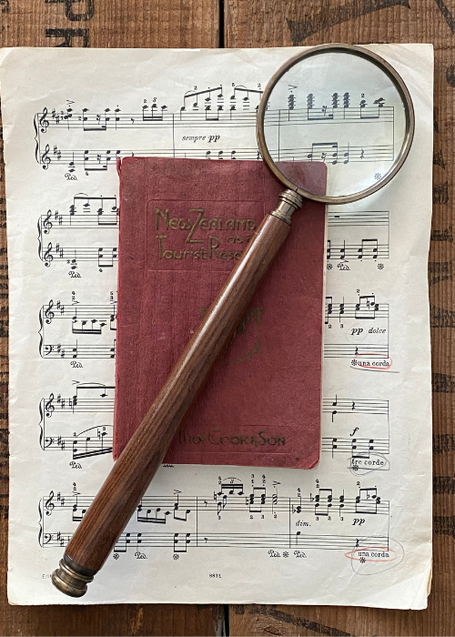 Magnifier - Long Handled