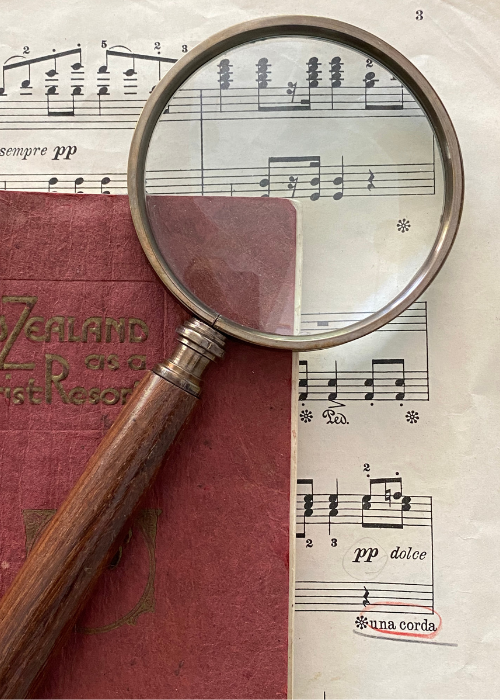 Magnifier - Long Handled