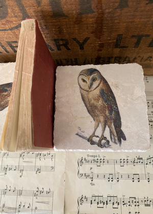 Bookends - Owls