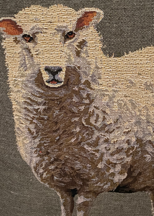 Cushion - Sheep