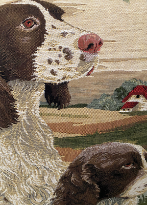 Cushion - Springer Spaniel