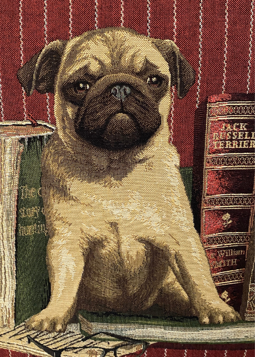 Cushion - Pug With Books