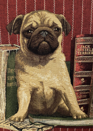 Cushion - Pug With Books