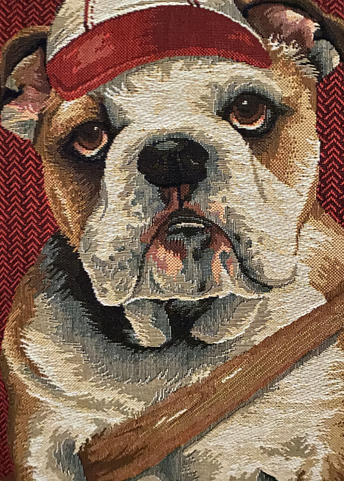 Cushion - Baseball Dog