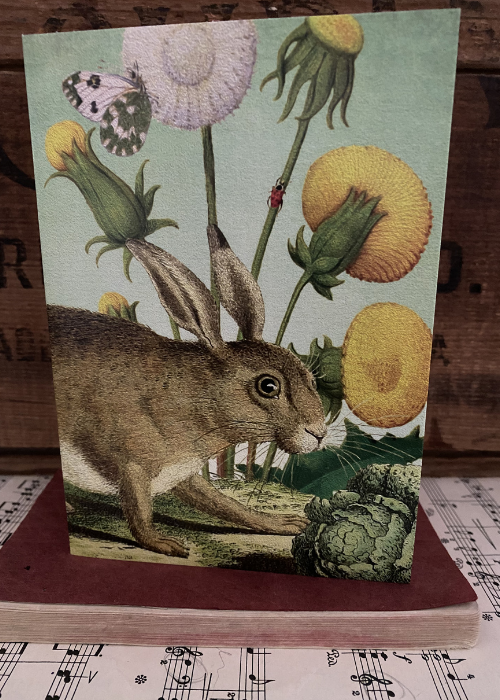 Greeting Card - Hare With Dandelions