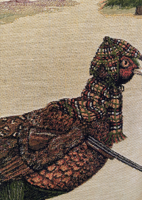 Cushion - Pheasant