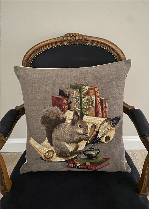 Cushion - Squirrel With Books