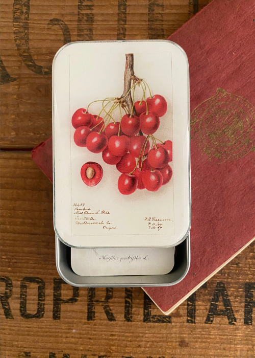 Tin Box - Cherries