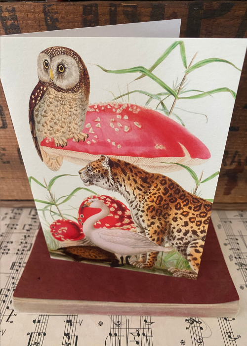 Greeting Card - Owl And Leopard