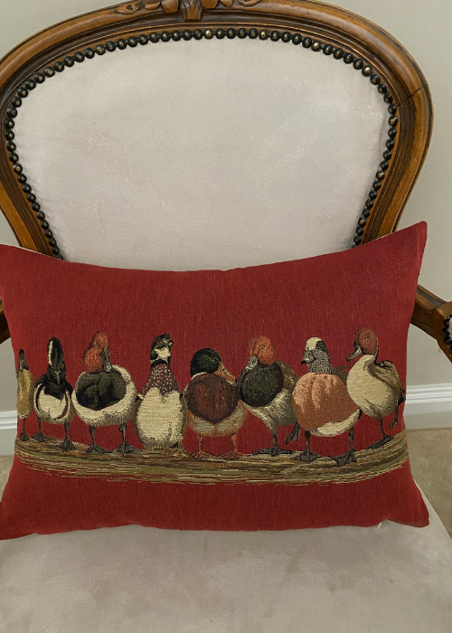 Cushion - Ducks Red Background