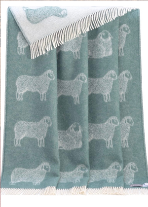 Throw - Sheep - Eucalyptus Blue/Green