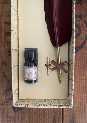 Calligraphy - Brown Quill With Ink And Two Nibs