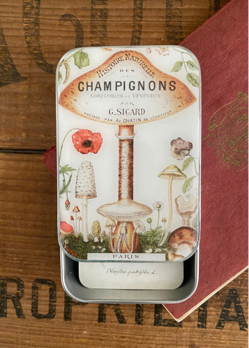 Tin Box - Mushroom