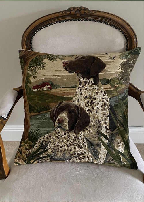 Cushion - Pointers