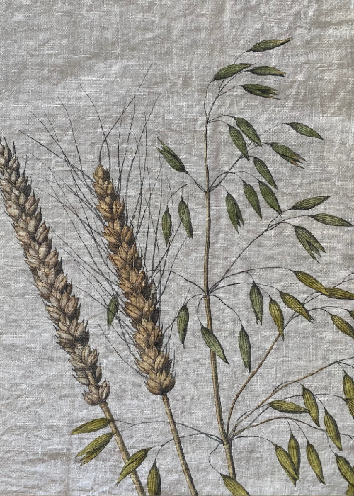 Tea Towel - Grains (Set of 2)