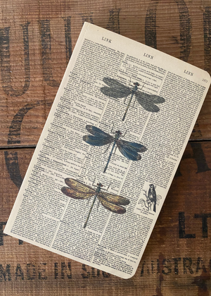 Notebook - Dragonfly