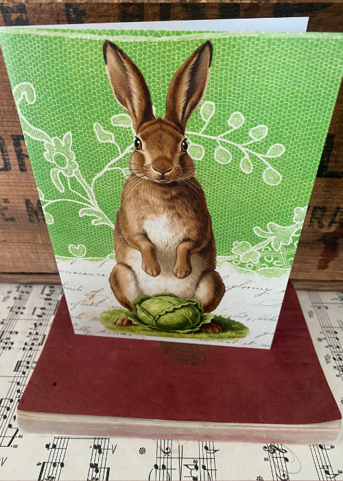 Greeting Card - Hare With Cabbage