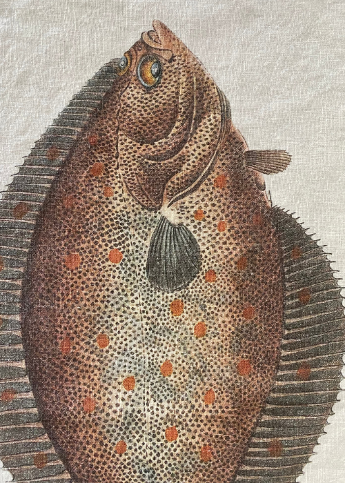 Tea Towel - Salmon And Turbot (set of 2)