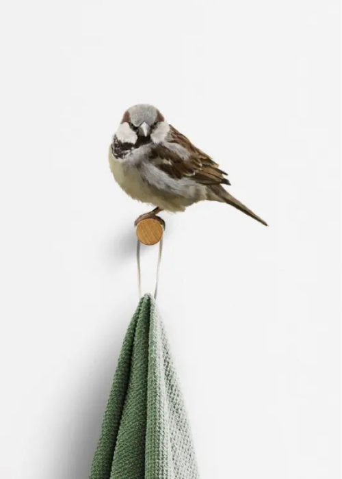 Wall Hook/Peg - Coloured Sparrow