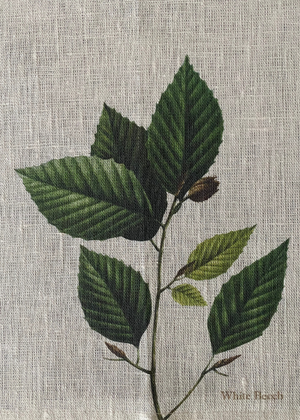 Linen Napkins - Tree Branch Design