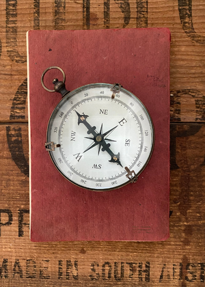 Compass - Antique Brass
