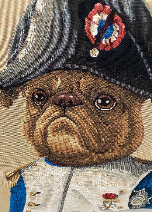 Cushion - Pug - Napoleon Uniform