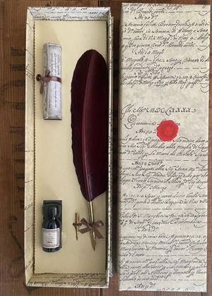 Calligraphy - Brown Quill With Ink And Two Nibs