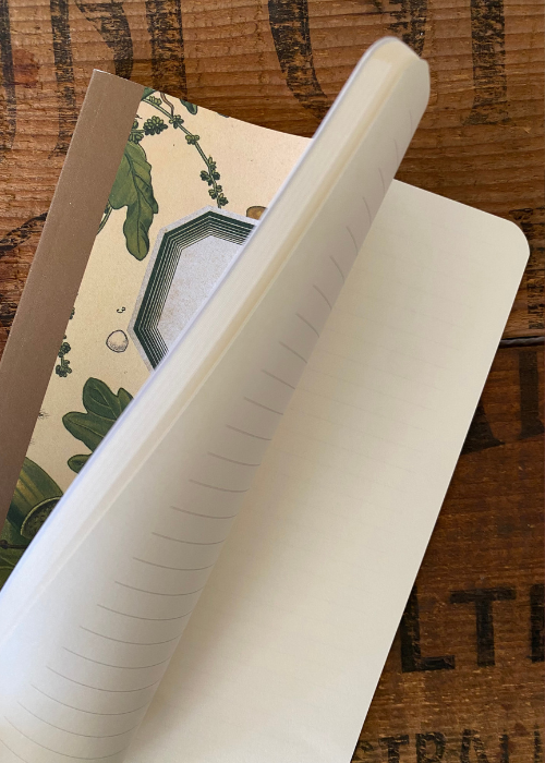 Notebook - Acorn Design