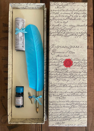 Calligraphy  - Turquoise Quill With Ink And Two Nibs