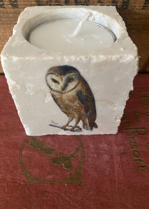 Tealight - Owl