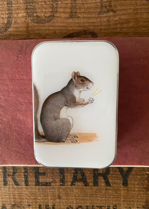 Tin - Squirrel