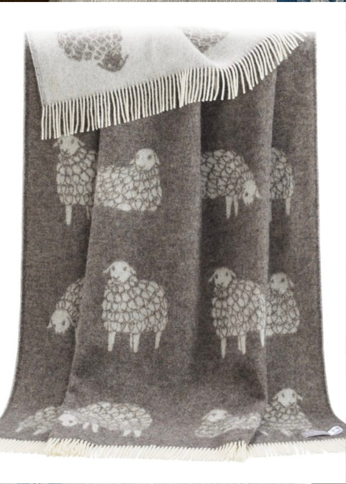 Sheep - Sheep - Dark Brown