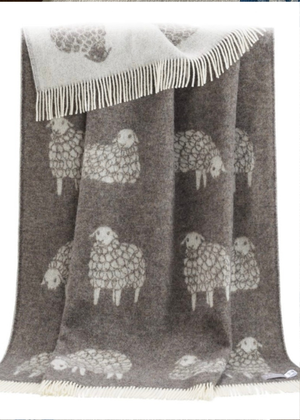 Sheep - Sheep - Dark Brown