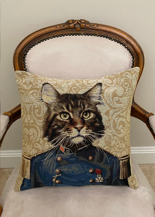 Cushion - Captain Cat