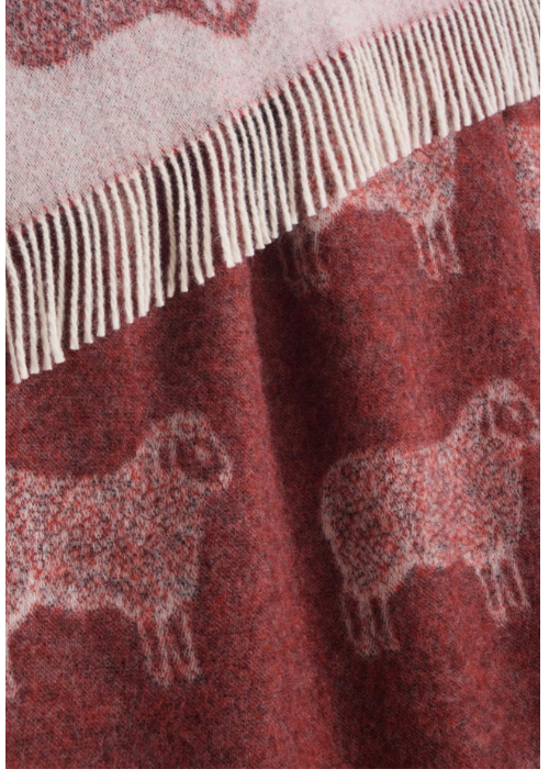 Throw - Sheep Burgundy