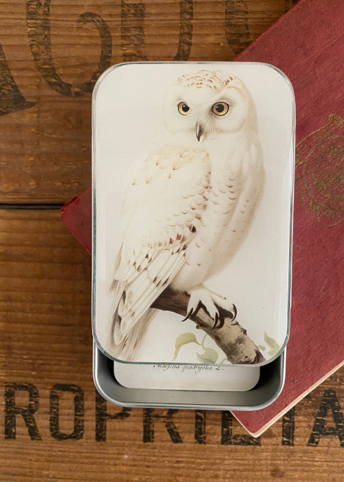 Tin Box - Owl