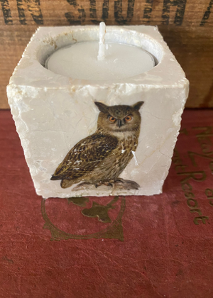 Tealight - Owl