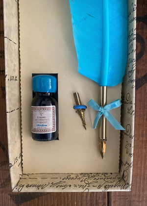 Calligraphy  - Turquoise Quill With Ink And Two Nibs