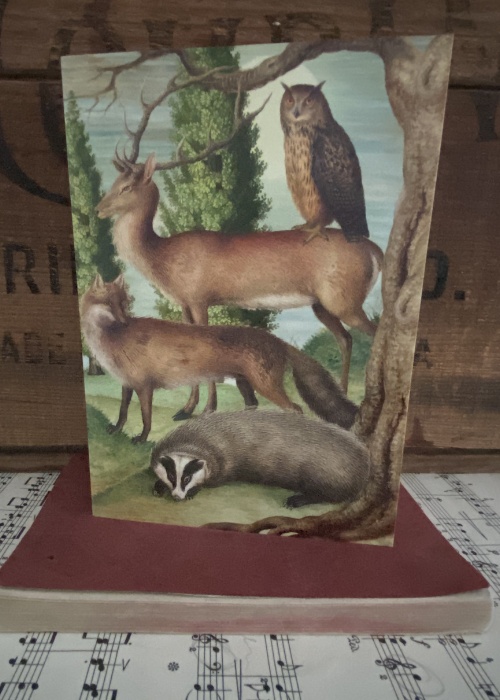 Greeting Card - Owl, Deer, Fox, Badger