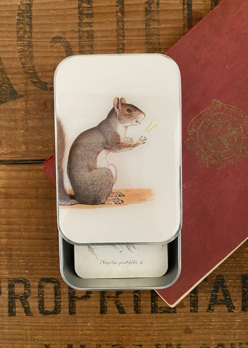 Tin Box - Squirrel Style I