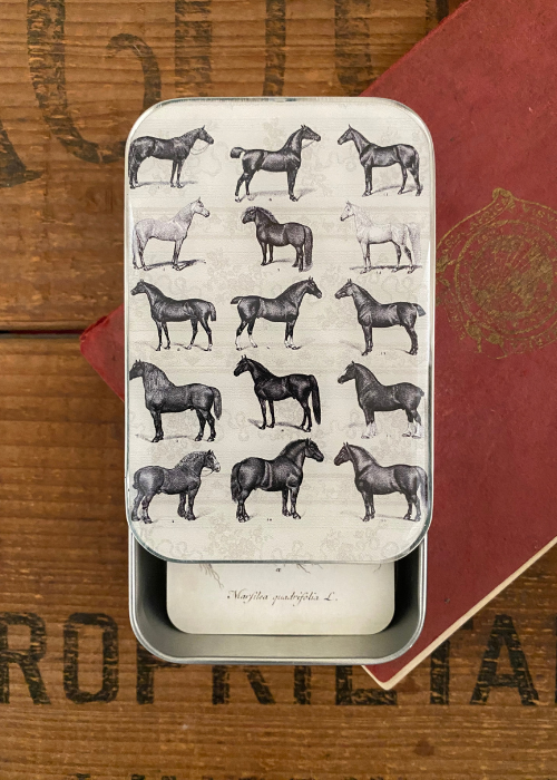 Tin Box - Horses