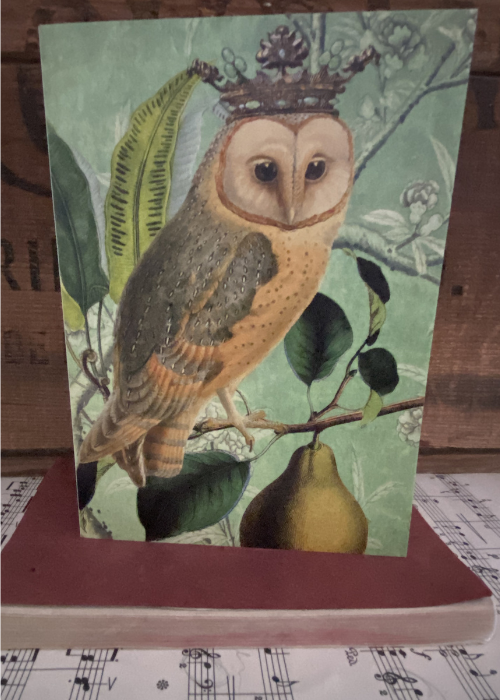 Greeting Card - Owl In Pear Tree